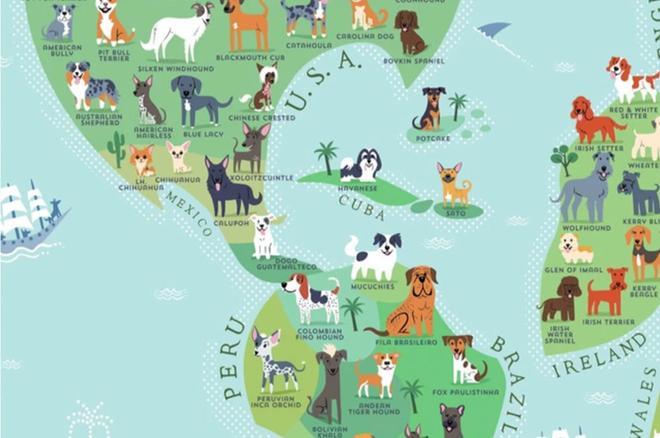 Mapa razas de perro del mundo