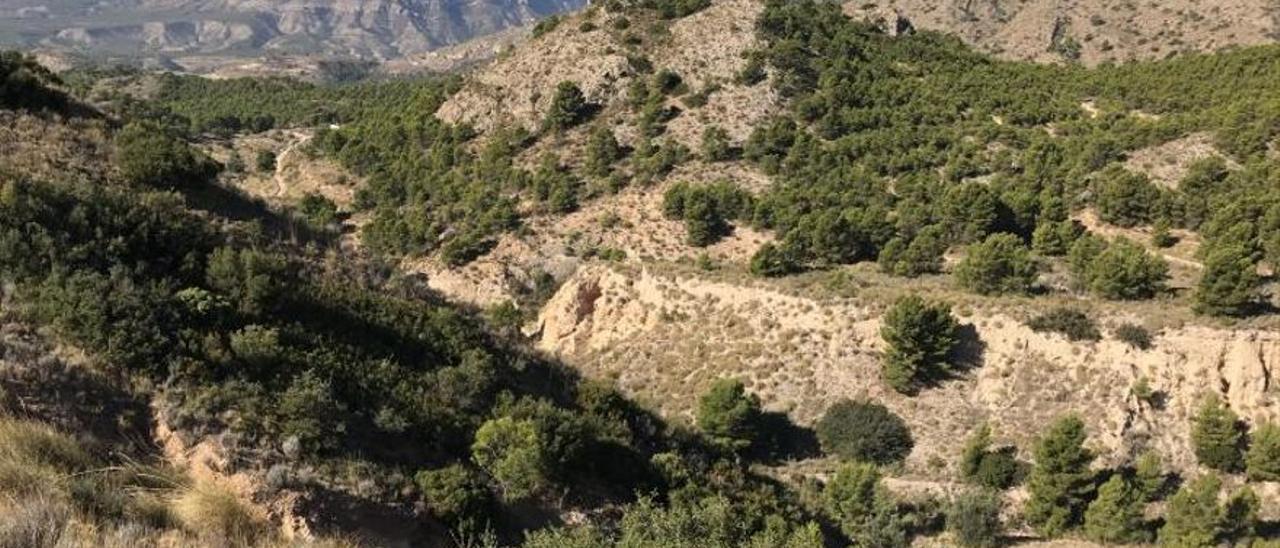 Vista panorámica del Paisaje Protegido donde se aprecian las estribaciones de la Sierra del Cid a la izquierda de la imagen y del Maigmó a la derecha ÁXEL ÁLVAREZ