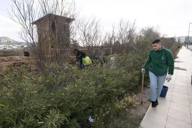La ciudadanía como solución para conservar ses Feixes de Ibiza
