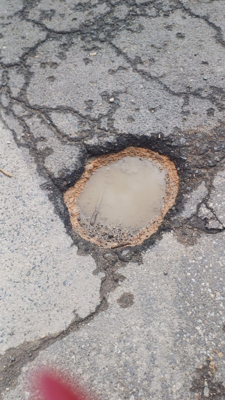 WhatsApp Image 2025-10-01 at 11.40.43 (1).jpeg