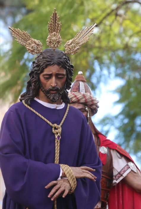 Domingo de Ramos de 2016 | Dulce Nombre