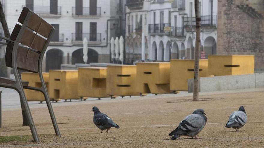 Cerco a las palomas