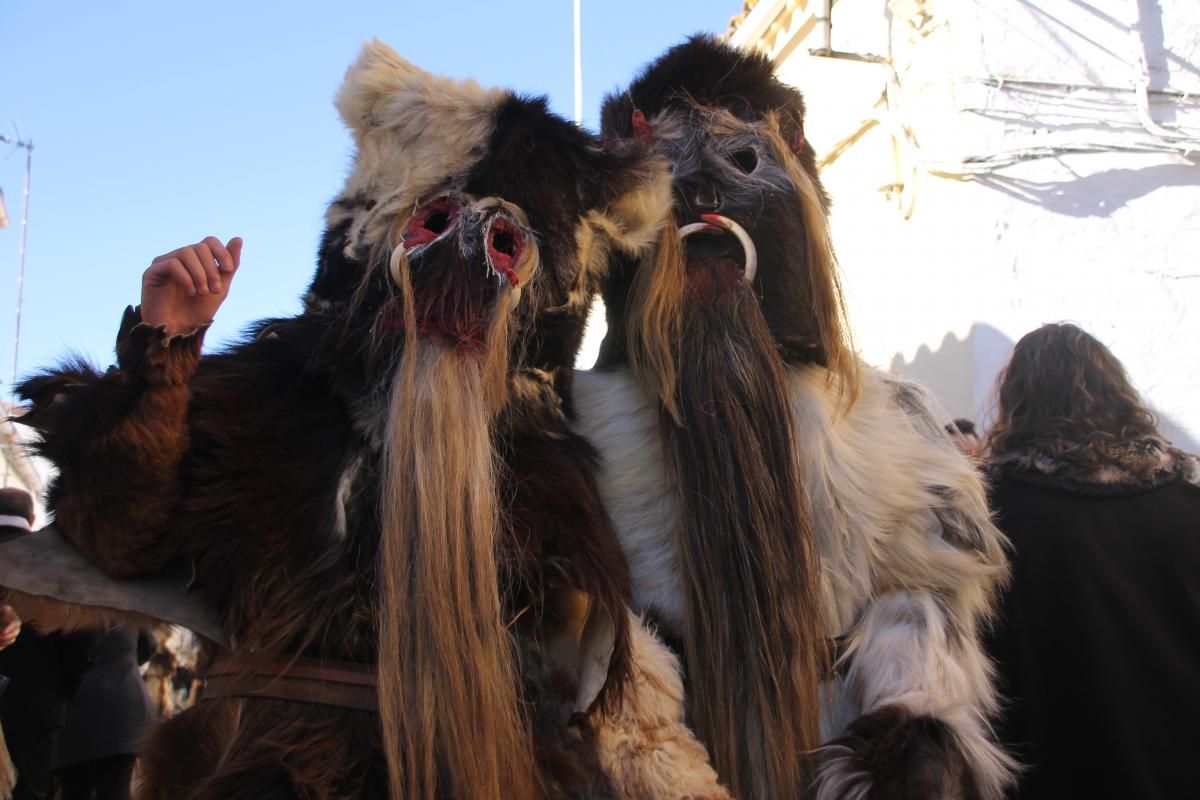 Las Carantoñas de Acehúche 2019