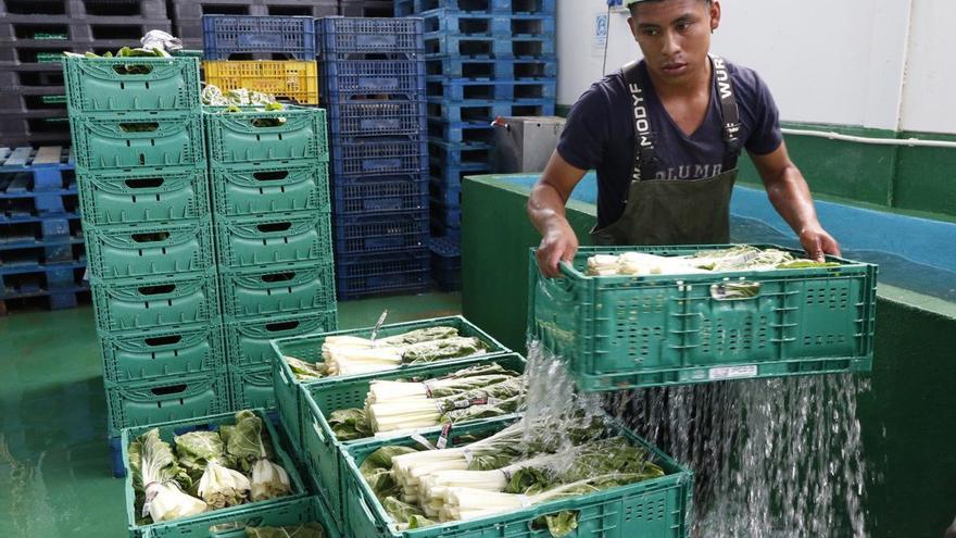 Warum-Spaniens-Migrations-Hammer-positive-Folgen-f-r-die-Wirtschaft-hat