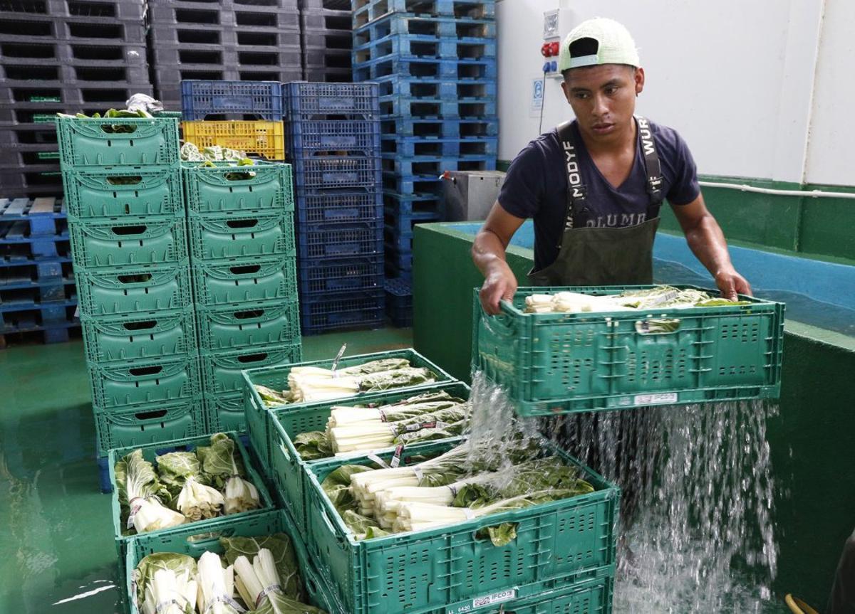 Auch der Wirtschaft zuliebe