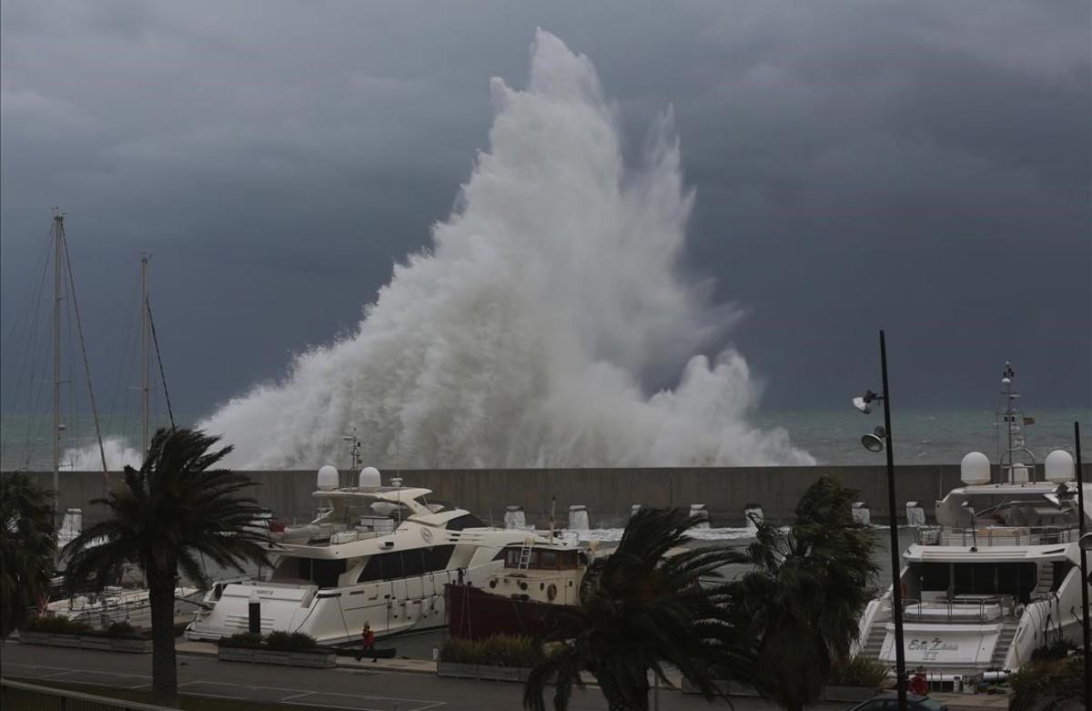 cmontanyes36995428 temporal170122170942