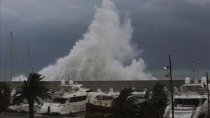 cmontanyes36995428 temporal170122170942