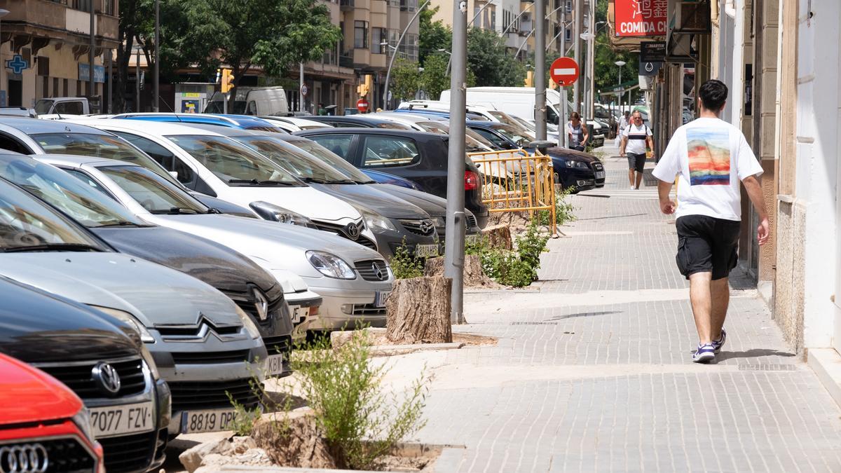 El vídeo de la tala masiva de árboles en la reforma de la calle General Ricardo Ortega de Palma