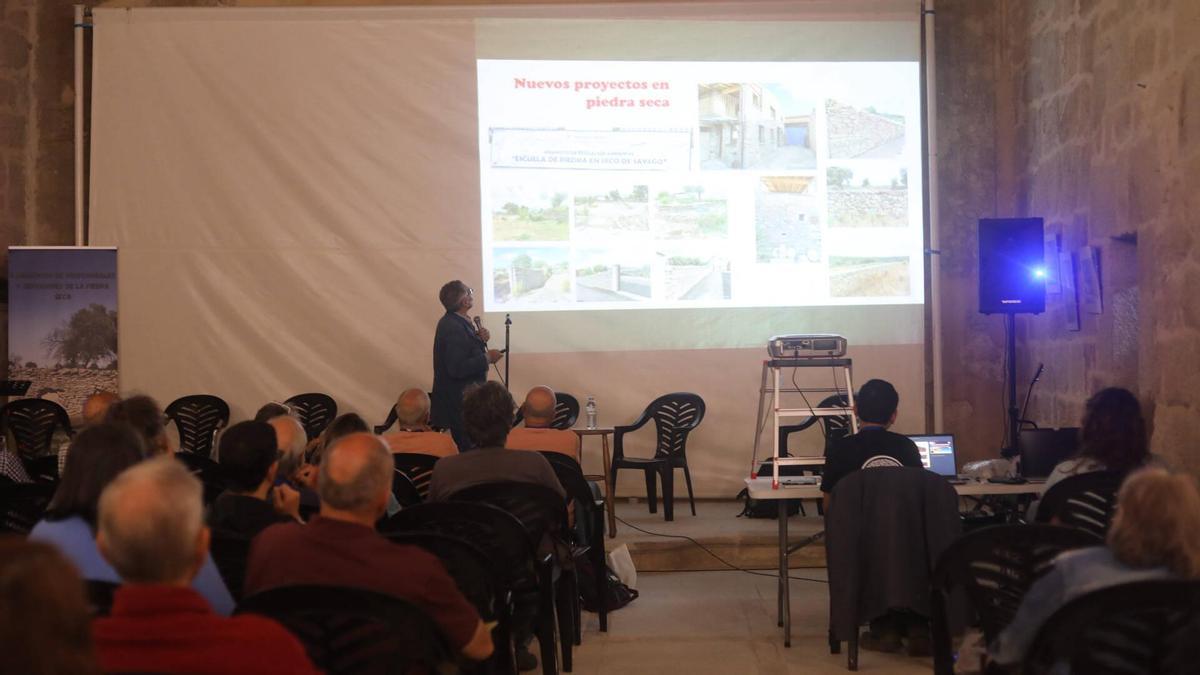 El profesor y catedrático jubilado de la Universidad de León, Estanislao de Luis Calabuig, durante su ponencia en el II Encuentro de profesionales y defensores de la piedra seca en Salce de Sayago-