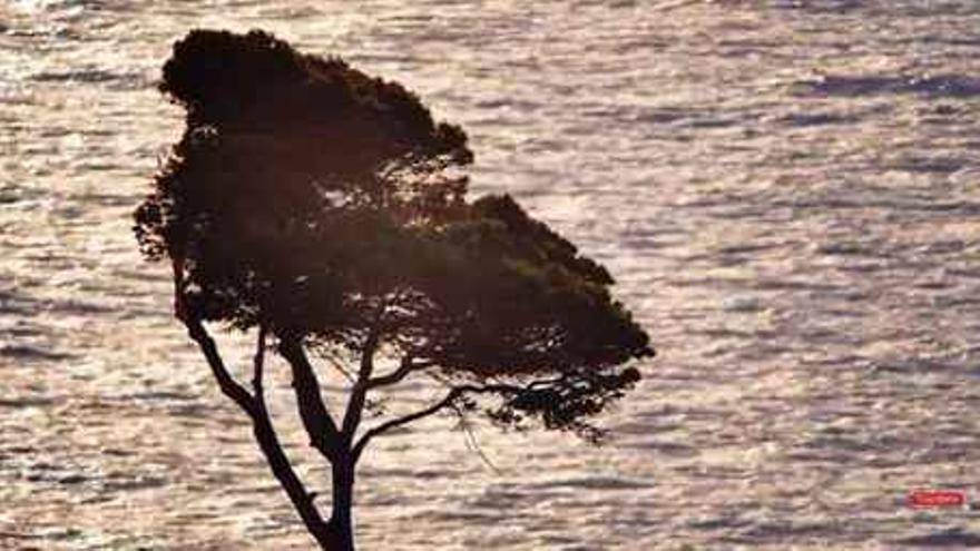 Formentor, el mar de las palabras