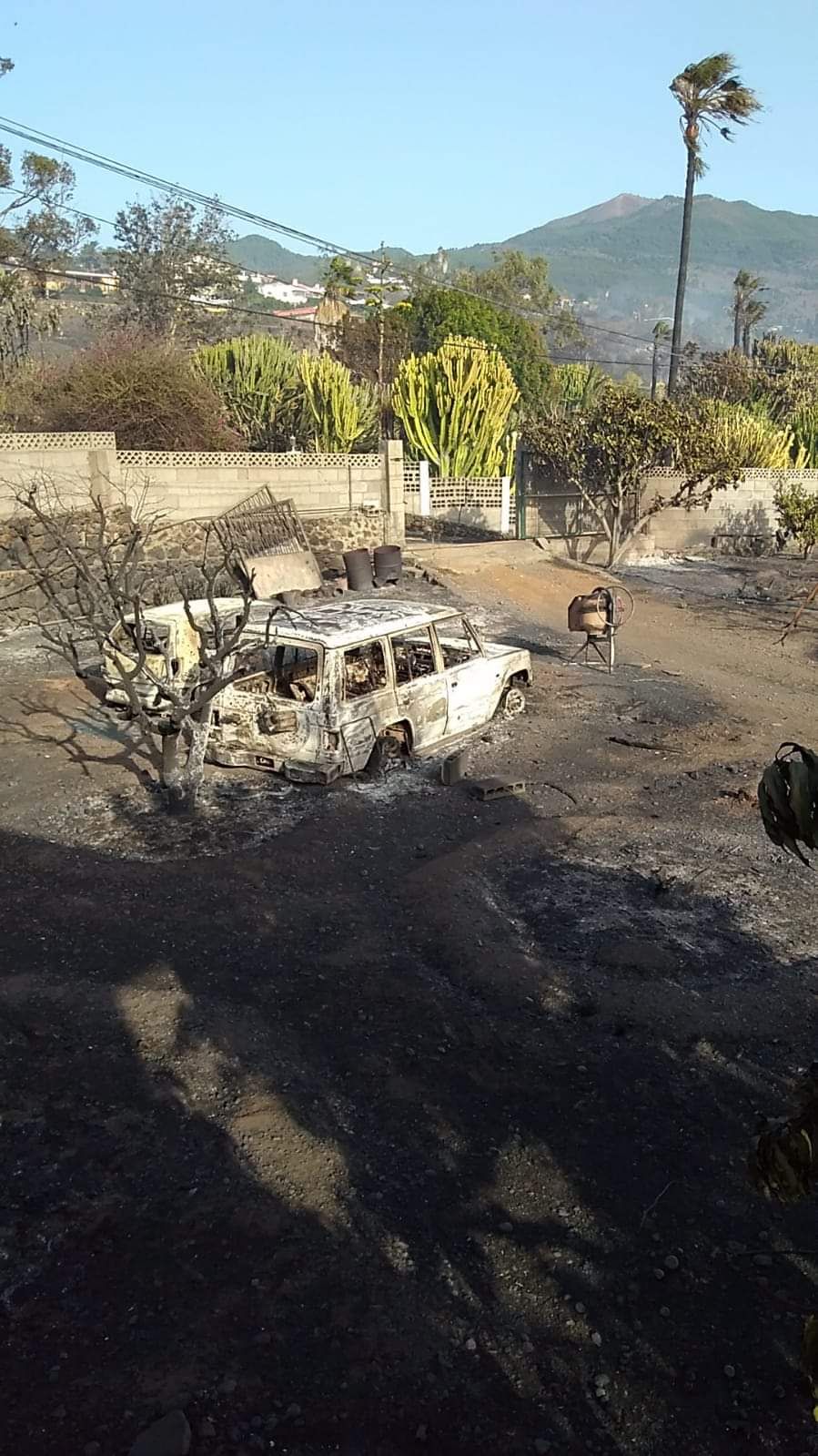 Incendio en La Palma