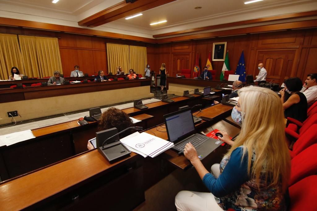 Los concejales de Córdoba vuelven al salón de plenos