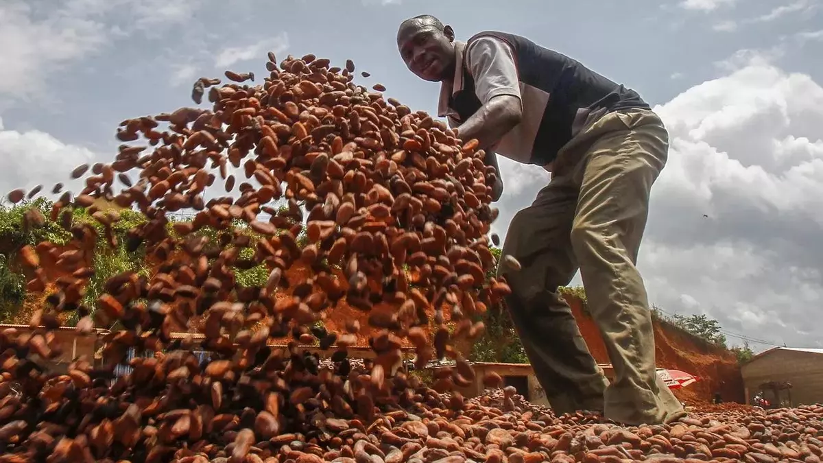 La inflación climática, a escala global: el calor y la sequía disparan un 280% el precio del cacao, un 100% el del café y un 50% el del aceite de oliva