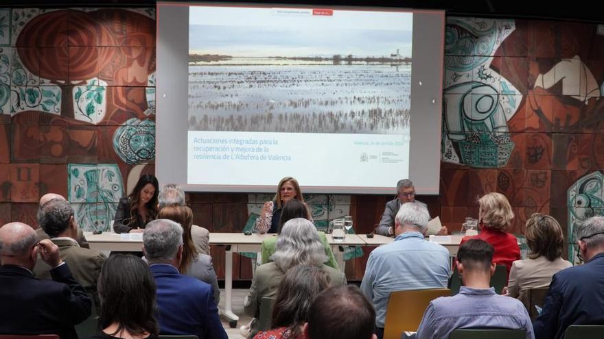 Una comisión entre Gobierno, Generalitat y Ayuntamiento de València dirigirá el plan de recuperación postdana de l'Albufera