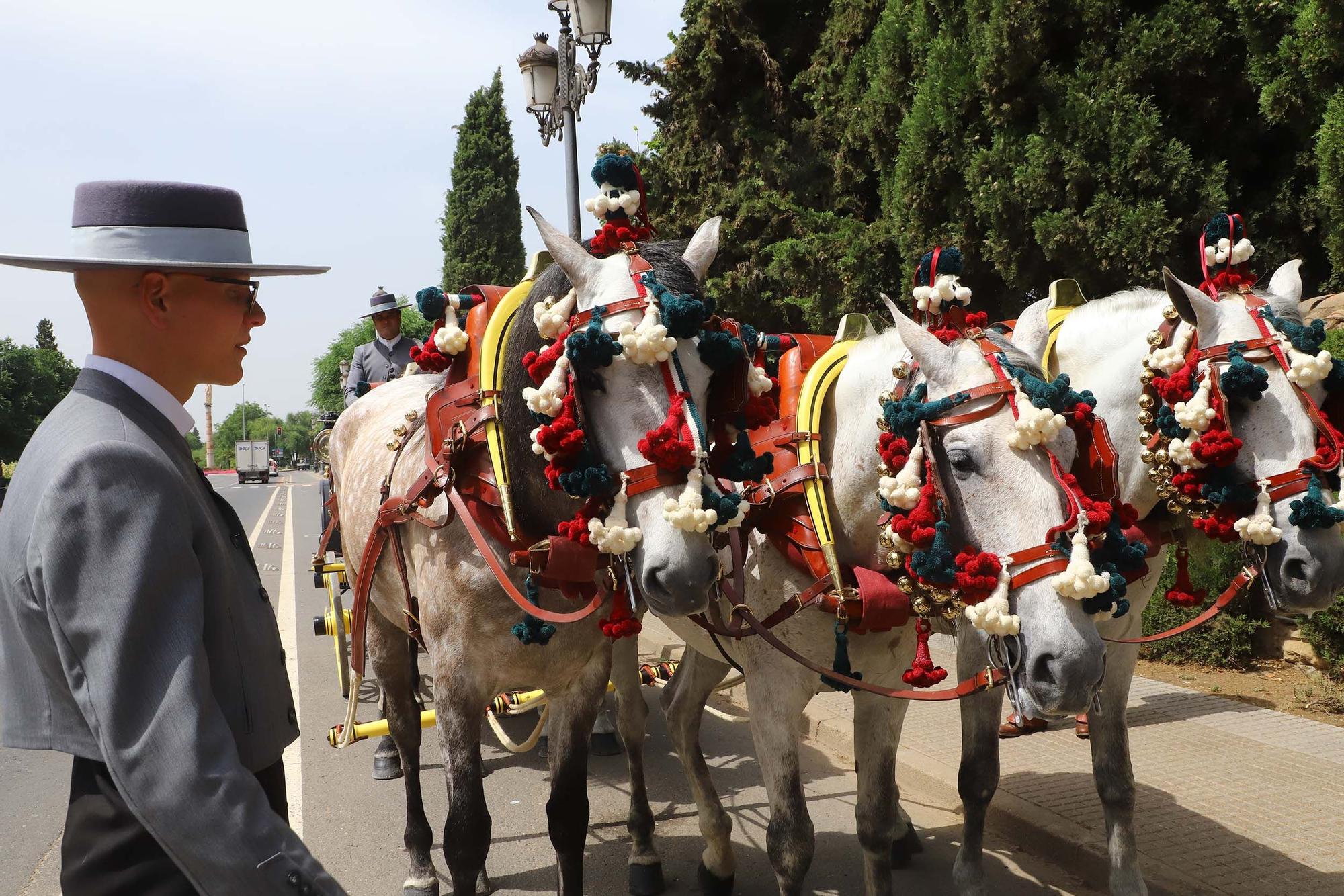 Una treintena de carruajes exhiben calidad y tradición en la Feria