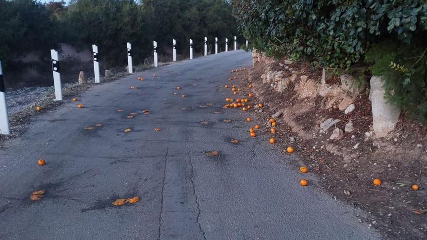 Los estragos del «bombardeo»: naranjas y piedras lanzadas por los vándalos. | LEVANTE-EMV