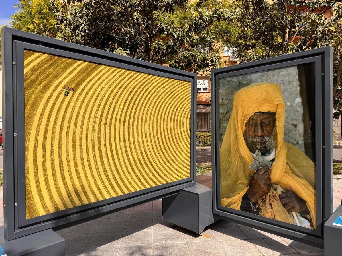 Fotografías de la exposición que dedicadas al color amarillo