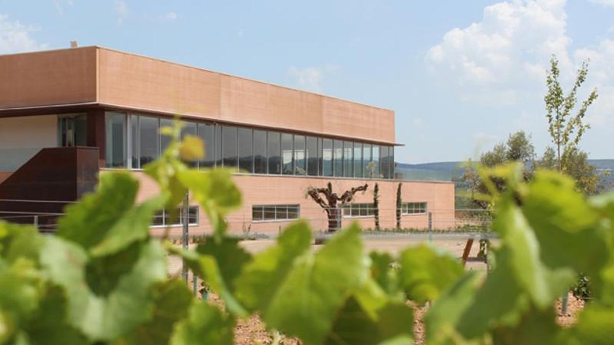 La experiencia enoturística más innovadora