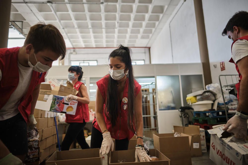 Proyecto Promoción de Éxito Escolar de Cruz Roja