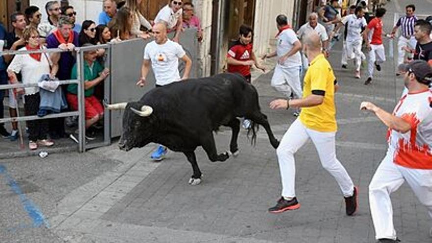 Fiestas Bardenas 2022 -  II Encierro chiqui