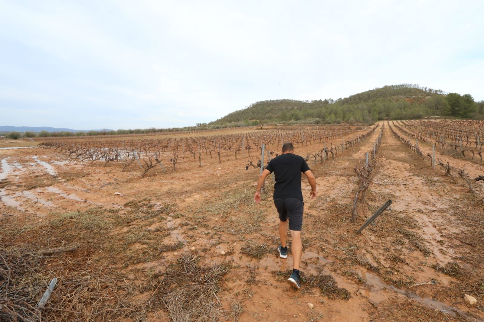 Las consecuencias del temporal de granizo que azotó ayer Requena