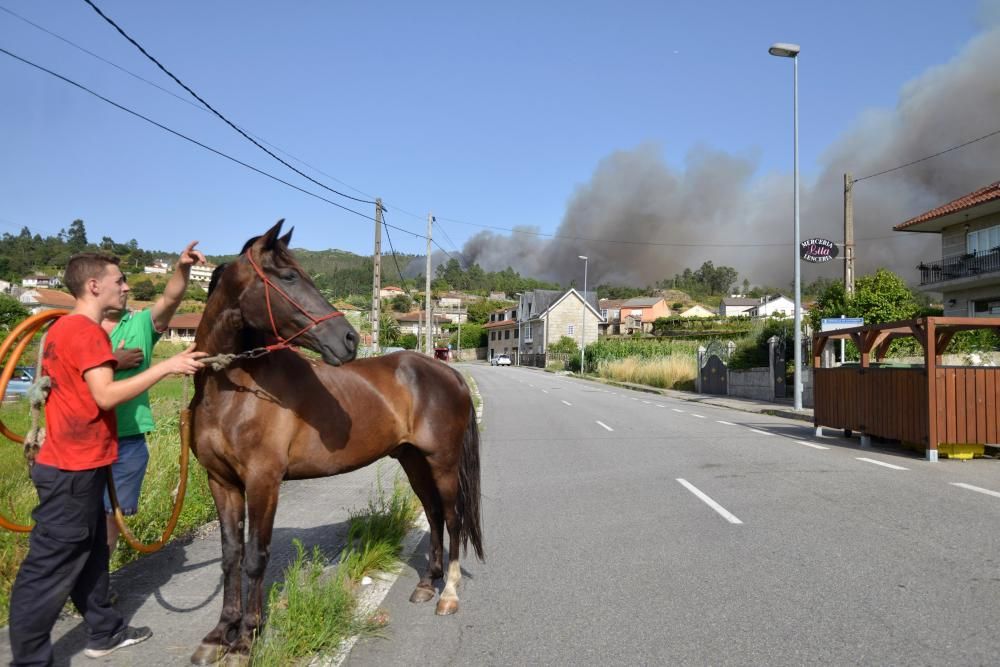 Incendio forestal en Cotobade