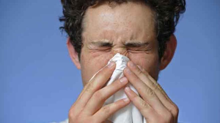 Empieza la primavera y las alergias al polen que sufren 8 millones de personas