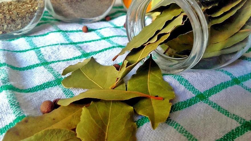 ¿Por qué la que la gente pone una hoja de laurel debajo de la almohada?