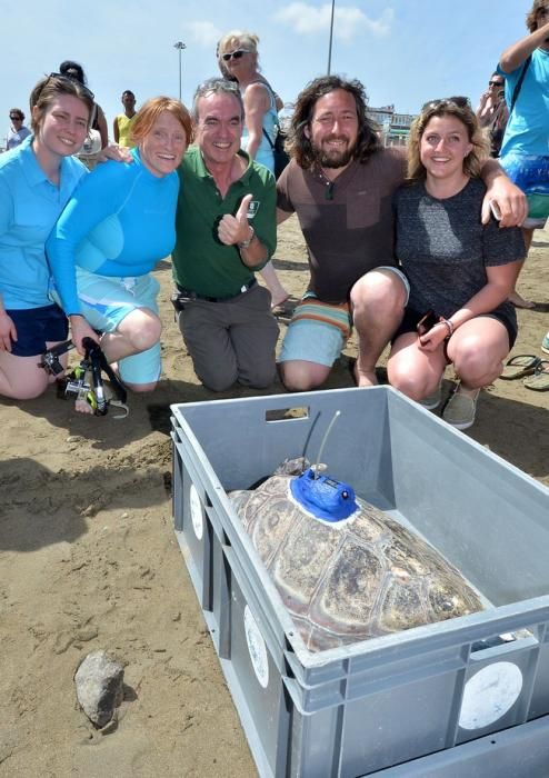 18/03/2016 PLAYA DEL INGLES, SAN BARTOLOME DE TIRAJANA. Suelta de tortugas bobas en Playa del Ingles. Foto: SANTI BLANCO