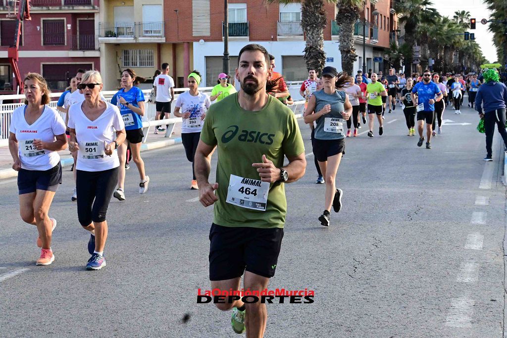 Carrera 5k Animal en Los Alcázares 2024 (I)