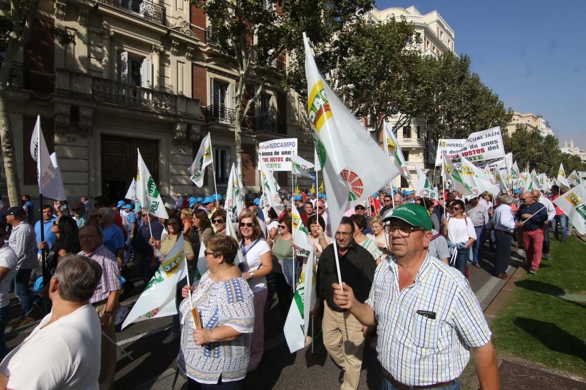 Córdoba se suma a la gran manifestación del olivar en Madrid