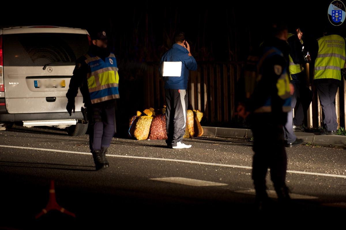 Un operativo contra la introducción de almeja portuguesa en Galicia.