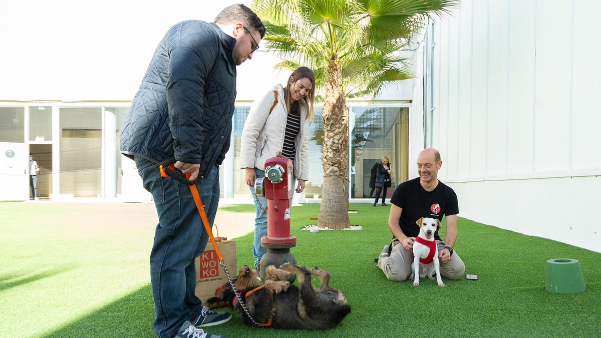 El mundo animal volverá a reunirse en una nueva edición de Expomascotas, el 3 y 4 de diciembre en la Institución Ferial Alicantina.