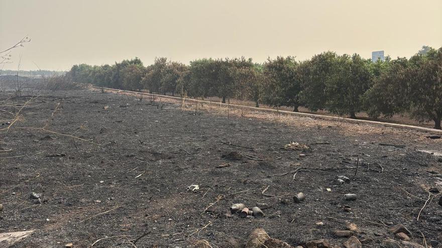 Los agricultores afectados por el incendio: "Que el trabajo de toda la vida se vaya en un momento es una impotencia enorme"