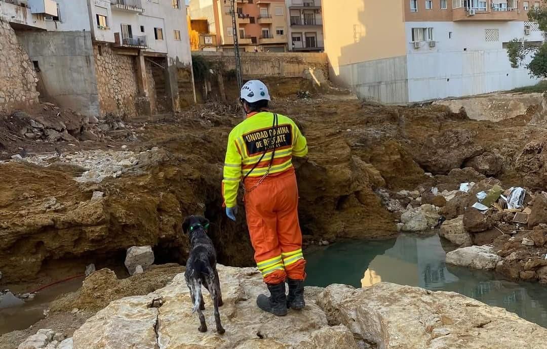 Así trabaja la Unidad Canina de Rescate del Principado de Asturias en Valencia