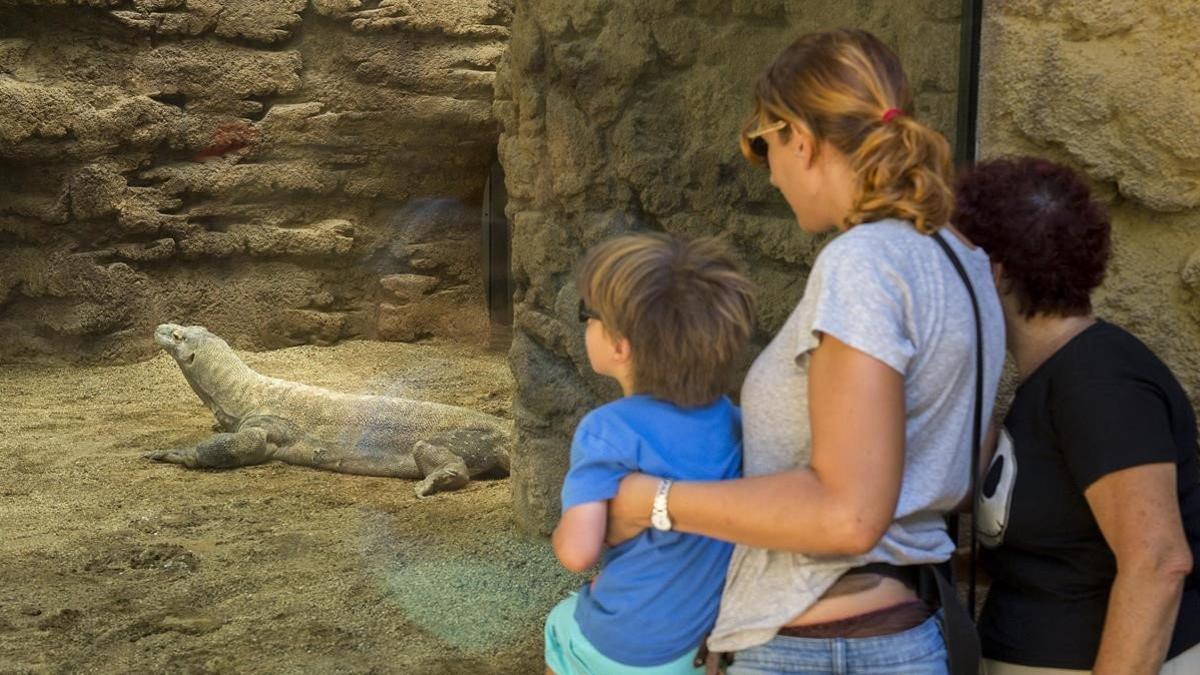 Unos visitantes del Zoo de Barcelona, en la instalación de los dragones de Komodo
