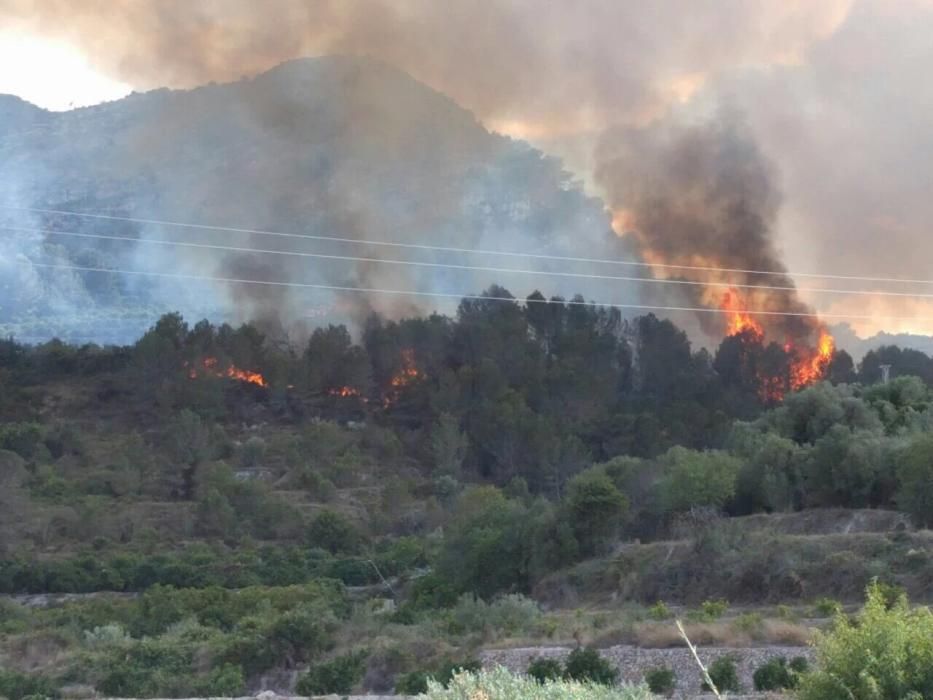 Incendio forestal en Terrateig