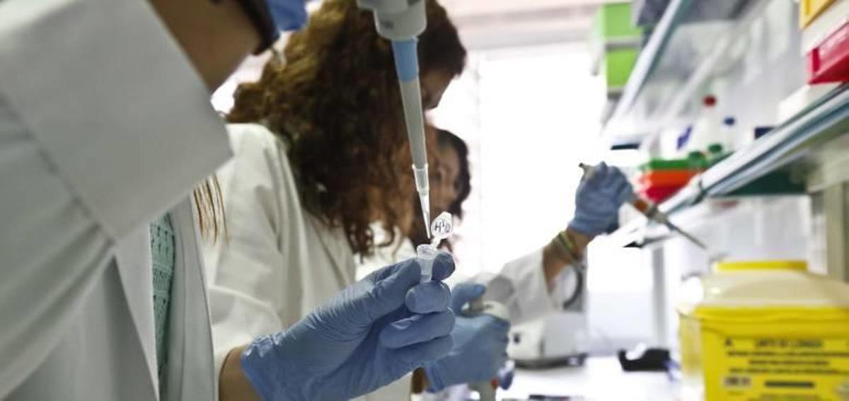 Alicante tendrá un centro de élite para investigar