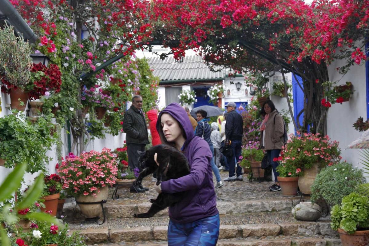 Colas y lluvia en el primer día de Fiesta de los Patios