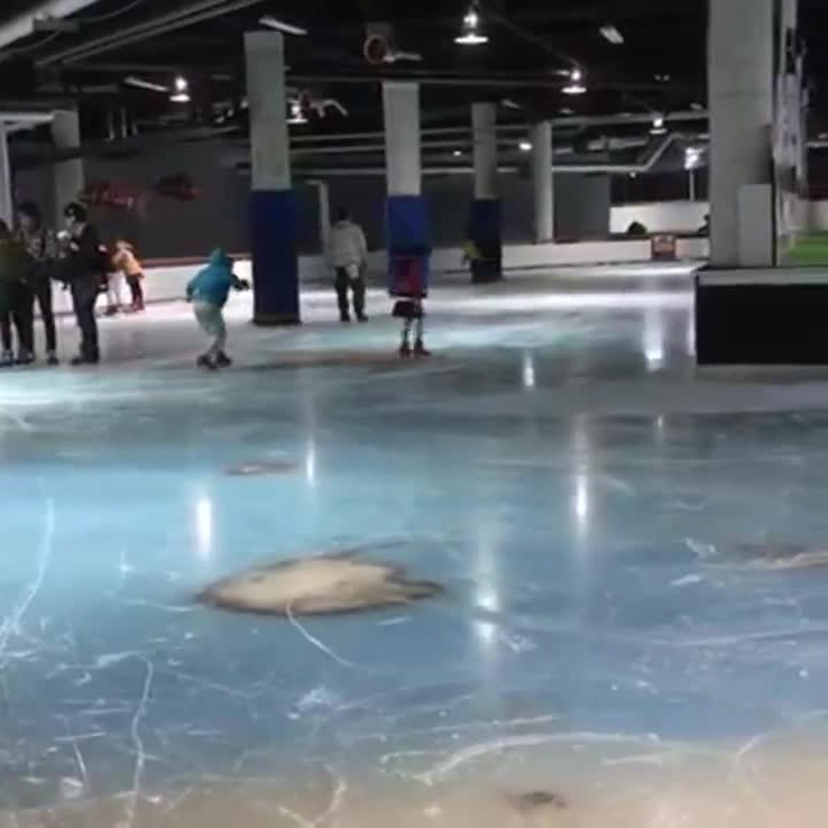 japanese-ice-rink-made-from-5000-dead-fish-space-world-japan-frozen-fish-ice-rink