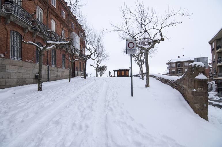 Así ha sido la nevada en Benavente.