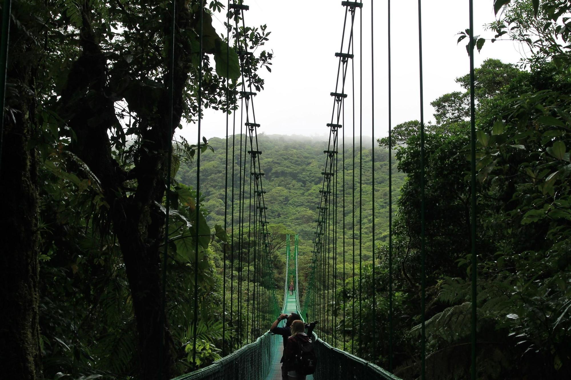 Flotar entre las montañas de Monteverde siguiendo la pista del quetzal
