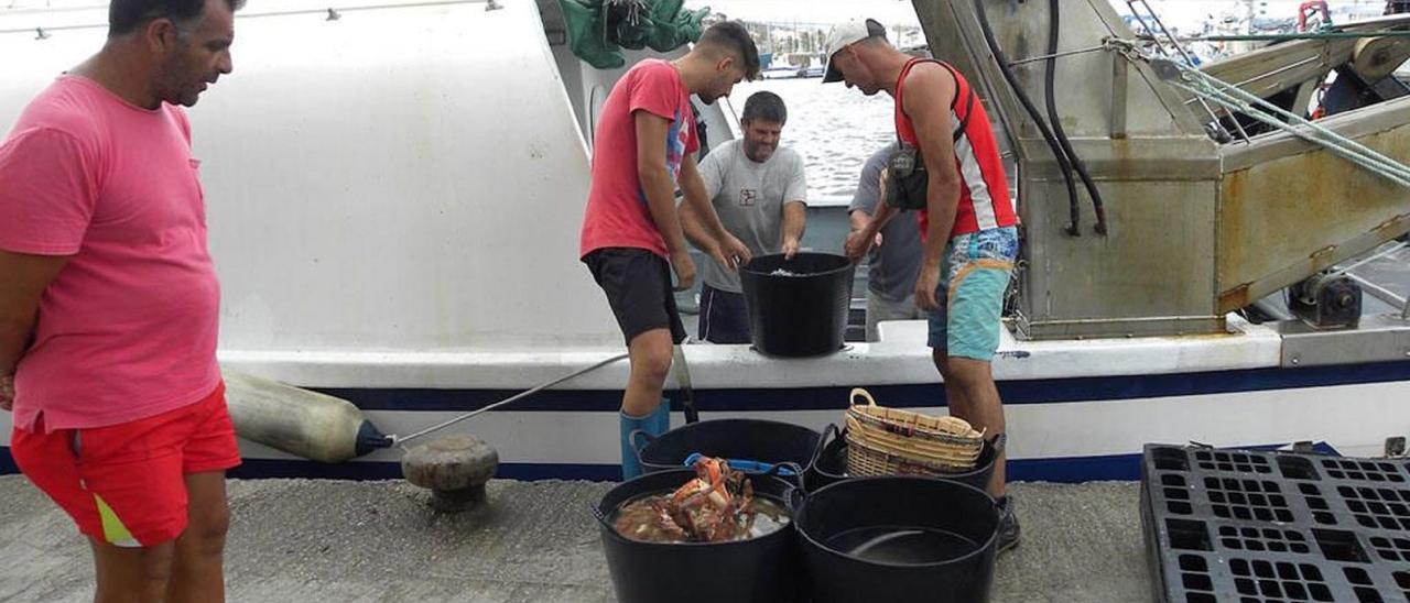 Pescadores axárquicos en las instalaciones portuarias de Caleta de Vélez.