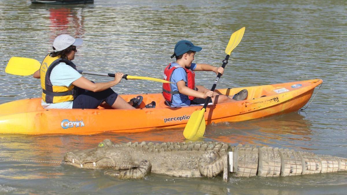 ¿Quieres conocer el patrimonio natural de Córdoba? Paseos en kayak, yincanas, senderismo y mucho más