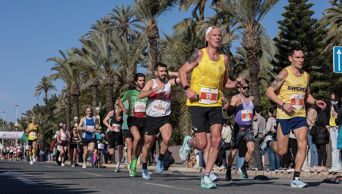 ¿Has corrido en la Media Maratón de Elche? Búscate aquí ¿Has corrido en la Media Maratón de Elche? Búscate aquí