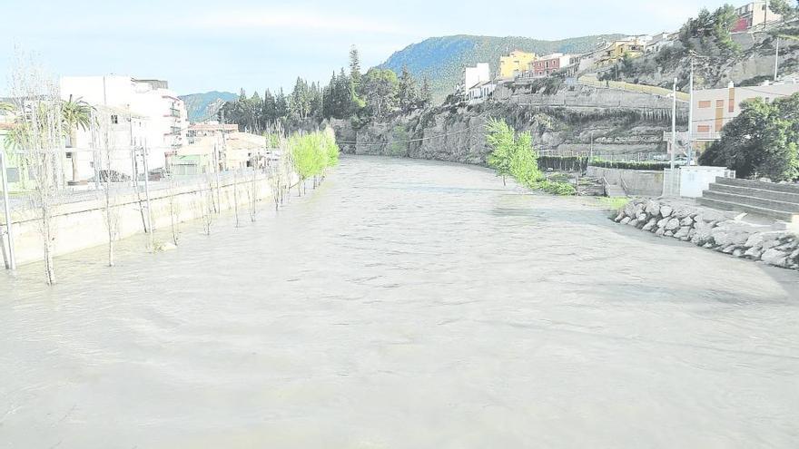 Panorámica de la zona de actuación del fallido proyecto sobre el río Segura en Blanca.