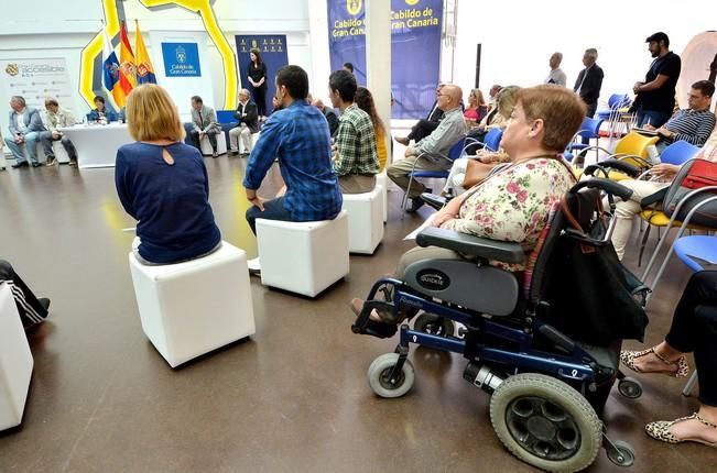 Pleno sobre accesibilidad en el Cabildo de Gran Canaria