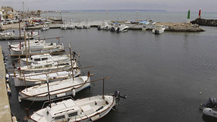 El Club Marítimo Molinar se ofrece a compartir el puerto con la Federación  Balear de Vela