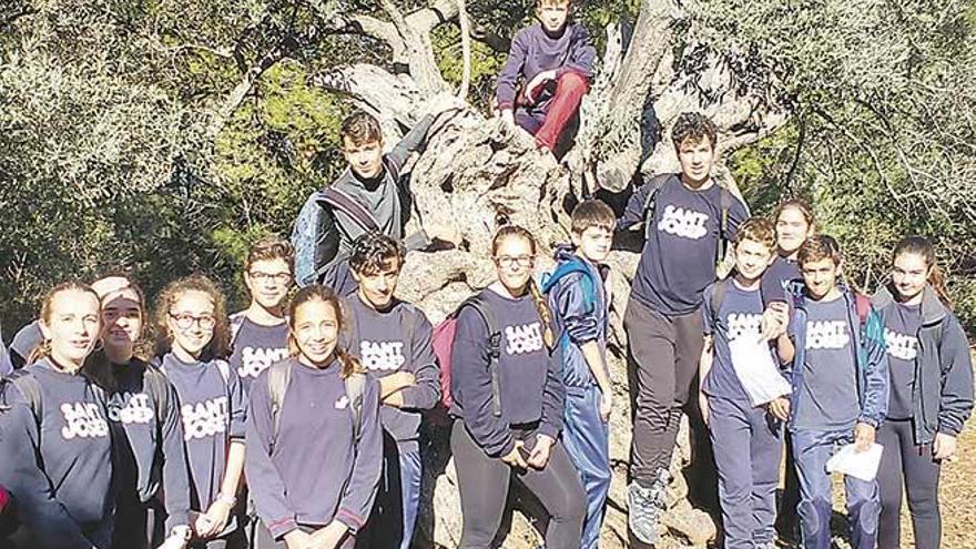 Conèixer i estimar la serra de Tramuntana