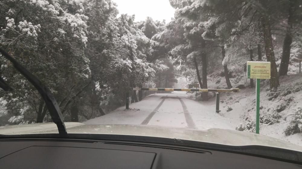 Puerto del Sol, situado entre Jubrique y Estepona